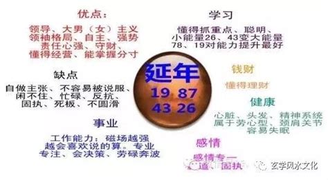 延年加伏位|数字能量学之延年磁场，伏位磁场，延年加伏位磁场解析